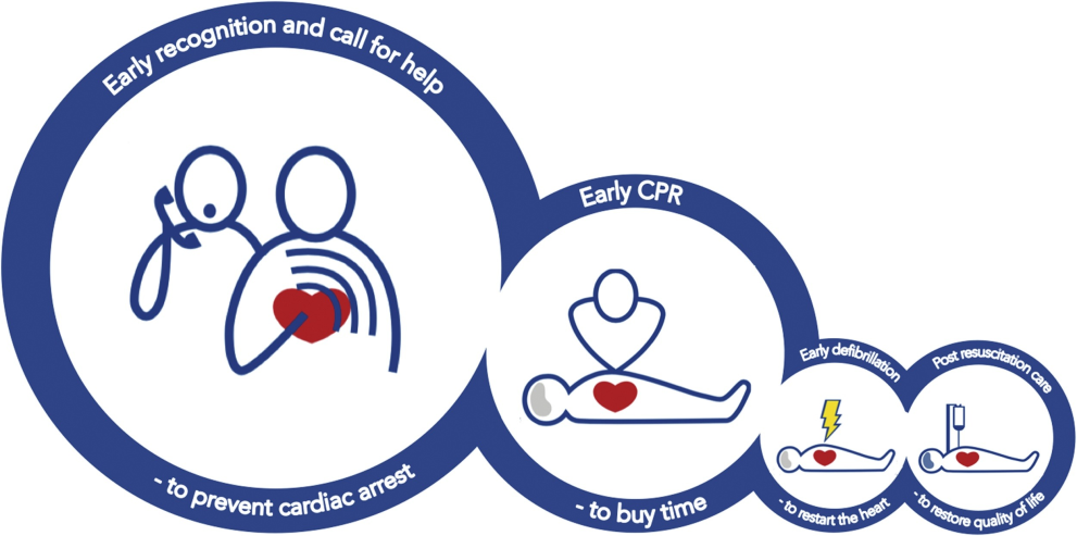 New Insights into the 'Chain of Survival' During ERC Congress